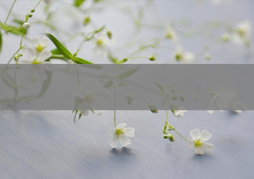 anydesk原理/AnyDesk 运维工具