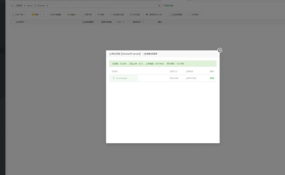 AnyDesk 个人版日志记录功能_anydesk windows