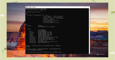 anydesk 0/AnyDesk 查看软件占用的网络带宽
