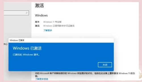 AnyDesk 兼容 Windows 11 吗_anydesk win32_10060