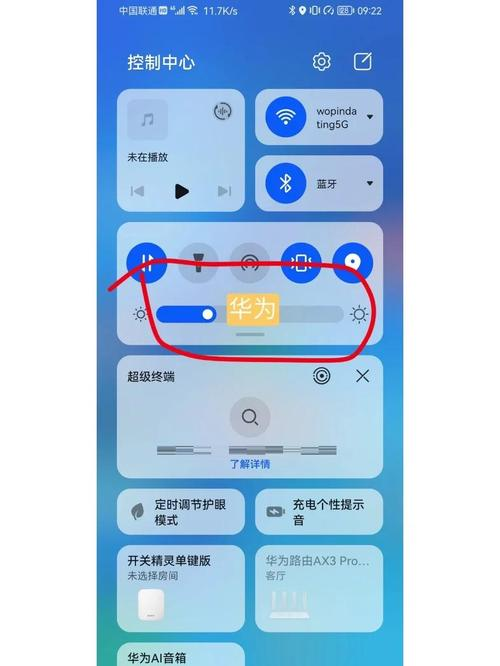 anydesk显示远程屏幕小/AnyDesk 设置远程控制画面对比度调节