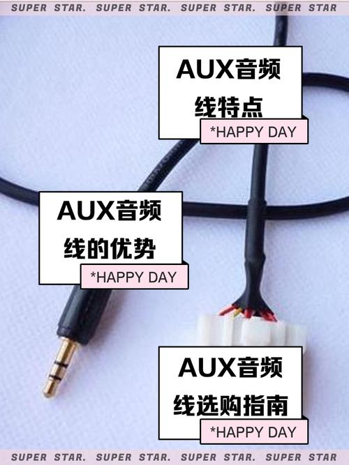 AnyDesk 支持外接麦克风共享吗|anydesk直接连接