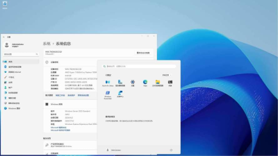 anydesk需要联网吗|AnyDesk 支持 Windows Server 系统吗