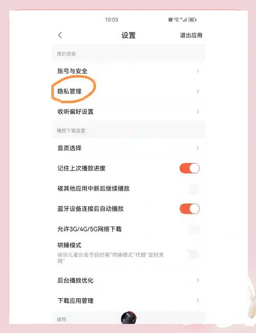 AnyDesk 关闭广告推送方法(anydesk是什么软件可以关掉吗)