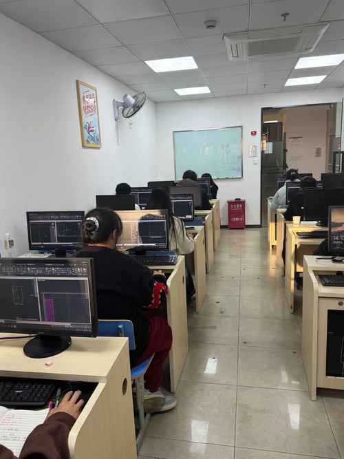 用anydesk远程后不能操控是怎么回事/AnyDesk 远程培训